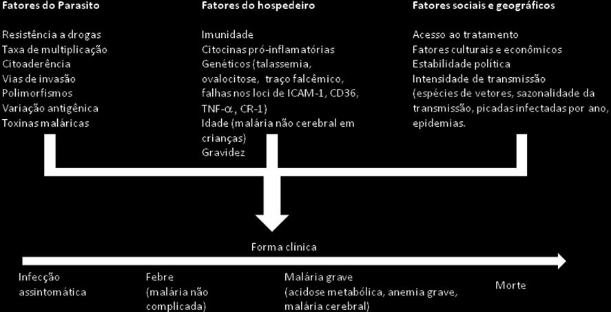 5) Diagnóstico Para o diagnóstico da infecção pelo Plasmodium sp, além da suspeita clínica, é necessária a realização de exames laboratoriais pois a malária possui sintomas em comum com outras