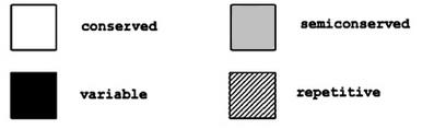 uma das moléculas de membrana de maior peso molecular neste estágio de desenvolvimento (Kariuki et al., 2005).