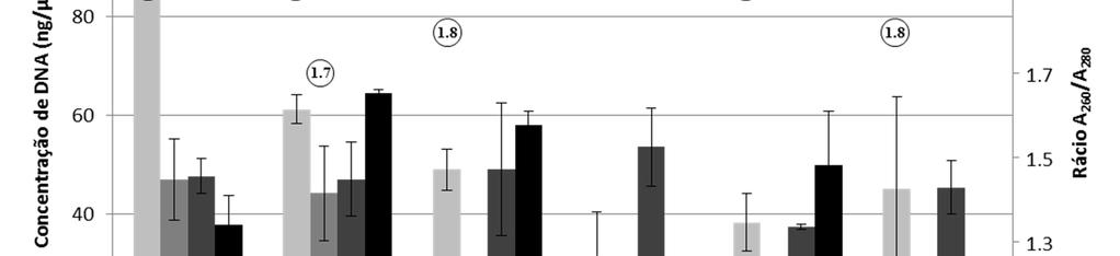 Extração de DNA de leveduras em microplacas: um método simples, económico e de alto débito Figura III-1: Concentração de DNA (barras) obtida a partir de culturas da estirpe S.