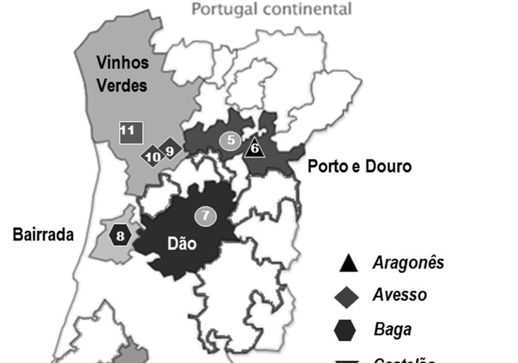 Seleção de estirpes vínicas de Saccharomyces cerevisiae isoladas em Portugal 2 1 5 Figura IV- 1: Localização geográfica das 11 vinhas do plano de amostragem e as castas de uva correspondentes.