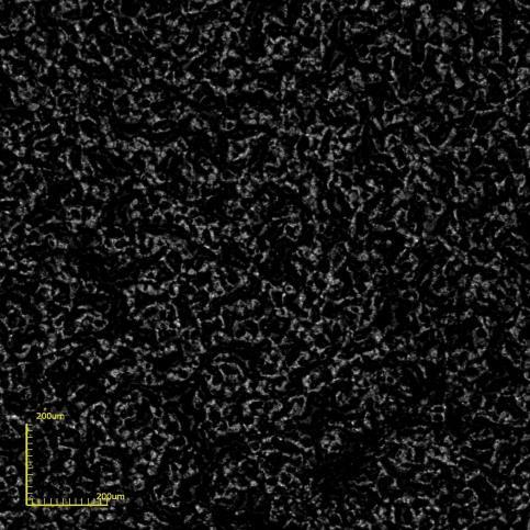 Resultados e Discussão - 61 (a) (b) Figura 36 Micrografias de topo obtidas por microscopia confocal do filme de BaCeO 3 sobre o substrato de LSM como depositado com T S =
