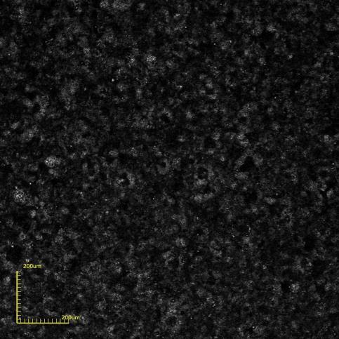 Resultados e Discussão - 67 (a) (b) Figura 43 Micrografias de topo obtidas por microscopia confocal do filme de BaCeO 3 sobre substrato de LSM como depositado com T S = 450 C, ɸ= 0,5mL/min e t d = 10