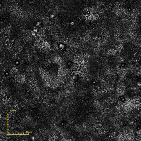 A fim de verificar a influência do tratamento térmico nos filmes, será apresentada a seguir, a caracterização morfológica por microscopia confocal dos filmes intrínsecos de BaCeO 3 após tratados