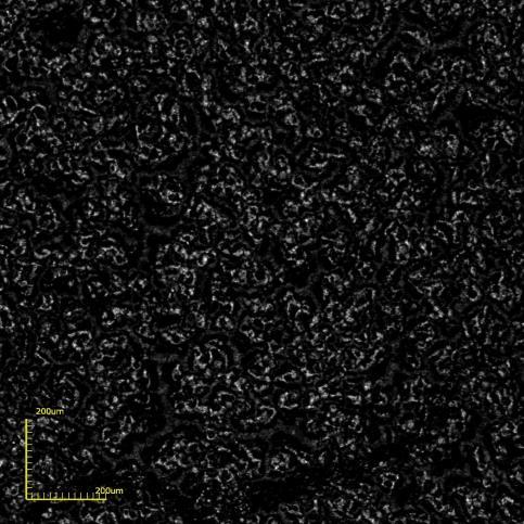 Como pode ser observado na Figura 44, após tratar termicamente, etapa em que ocorre a formação das fases, o filme de cerato de bário apresentou trincas e que são evidenciadas nas micrografias obtidas