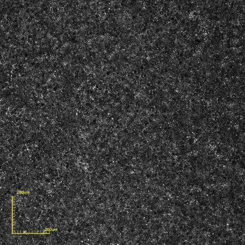 Resultados e Discussão - 72 (a) (b) Figura 48 Micrografias de topo obtidas por microscopia confocal do