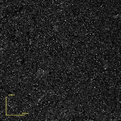 Resultados e Discussão - 75 (a) (b) Figura 51 Micrografias de topo obtidas por microscopia confocal do filme de BaCeO 3 dopado com ítrio sobre substrato de LSM após tratamento térmico depositado com