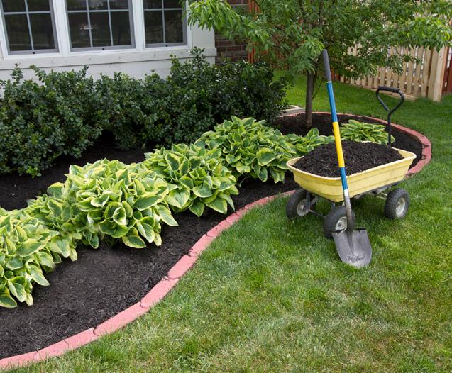 COLOQUE A MÃO NA MASSA Depois de fazer todo o planejamento inicial é hora de começar a colocar em prática para ter um jardim do jeito