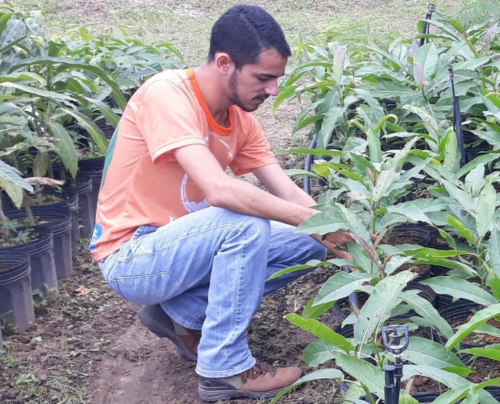 Ambiental (NEA), passando um ou dois vídeos sobre a temática da preservação ambiental e sustentabilidade com o intuito de conscientizar o visitante sobre seu papel no meio ambiente.