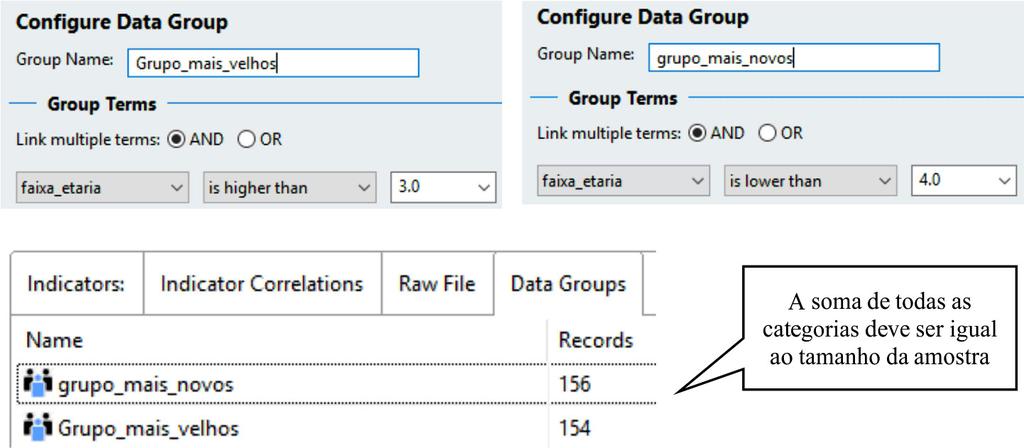 forma: duplo-clique no ícone do conjunto de dados > Add data groups > Nomear a categoria do grupo > Selecionar a variável > Definir os critérios para inclusão na categoria > Ok (Figura 19), e repita