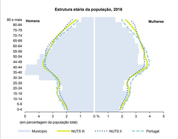 Gráfico 1: Pirâmide etária da população do concelho de Azambuja - 2016 Fonte: INE - 2017 Famílias Tendo por base o conceito do INE que define família clássica como conjunto de pessoas que residem no
