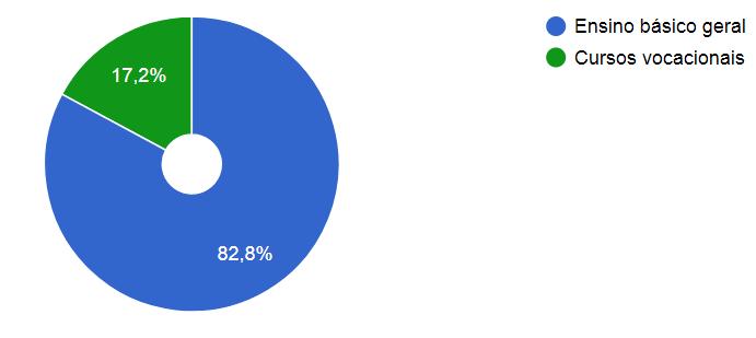 No ano letivo 2015/ 2016 verificava-se que os alunos do 2º e 3º ciclos optavam maioritariamente pelo ensino básico geral, ainda que houvesse 17.
