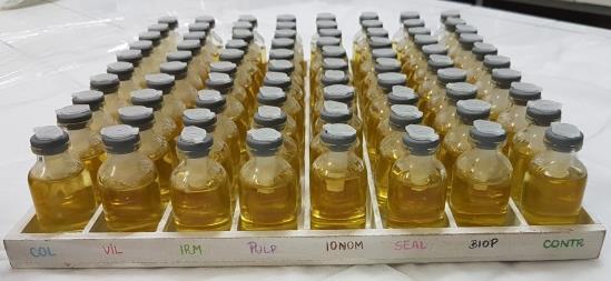 Foi feita a colagem e o conjunto ficou mais 24hs aberto dentro de uma estufa desligada, mas com a porta fechada para facilitar a evaporação dos solventes do esmalte, mas evitar contaminação.