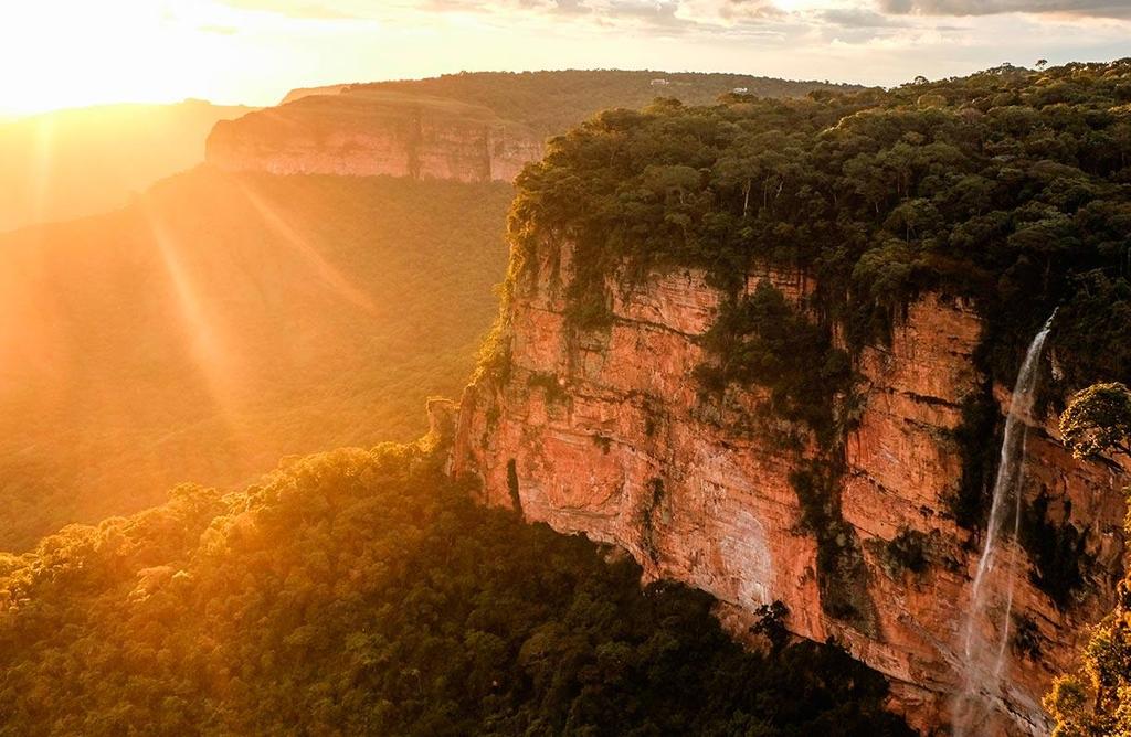 Passarão um lindo dia de passeio em meio à maior planície alagável do planeta, ou conhecendo