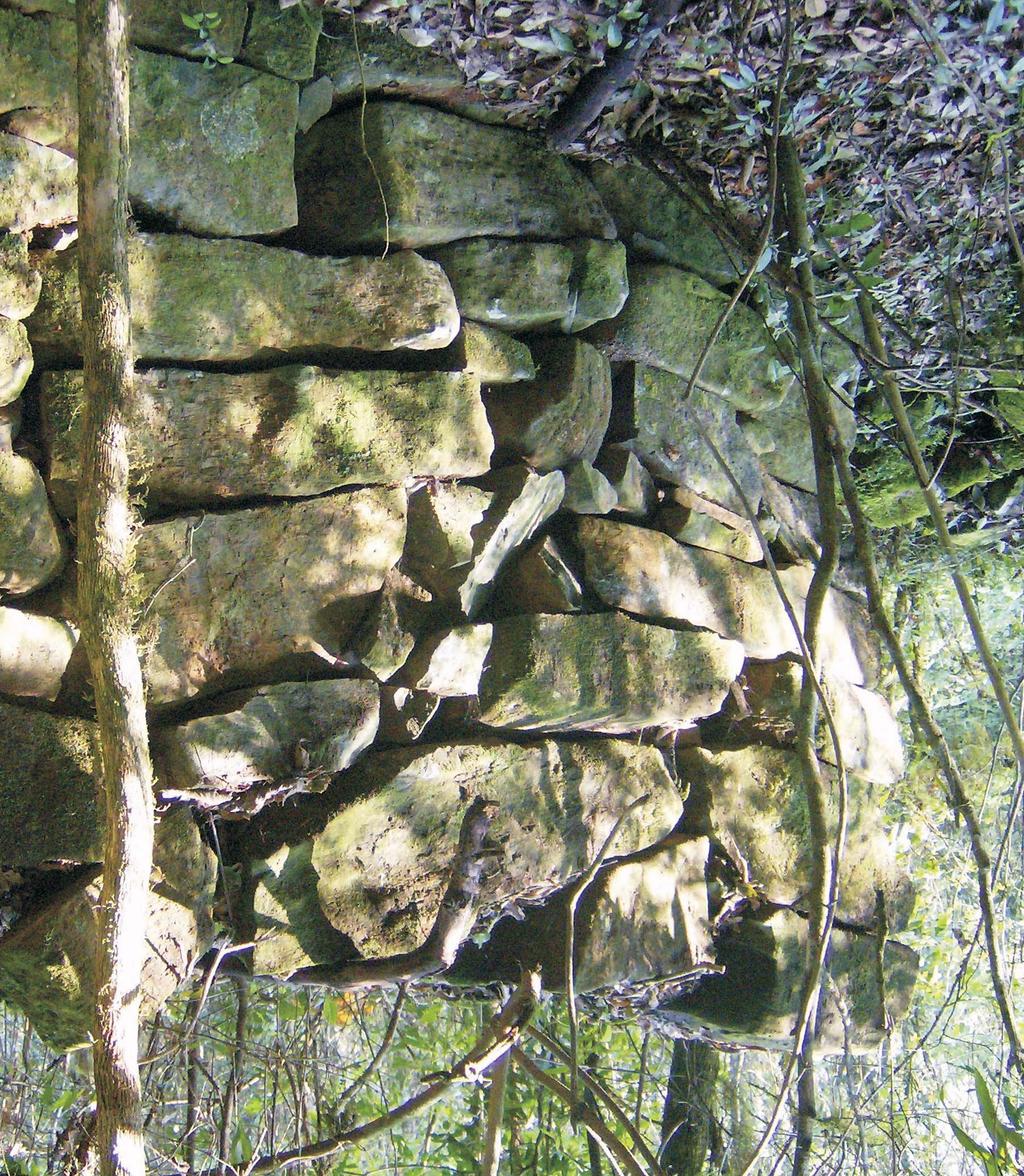 6 A GESTÃO EM ARQUEOLOGIA DE PROJETOS Sem uma boa liderança pouca coisa acontece.