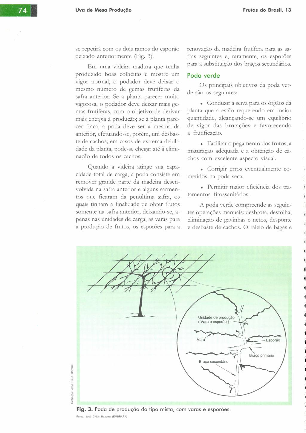 se repetirá cm s dis rams d esprã deixad anterirmente (Fig. 3).