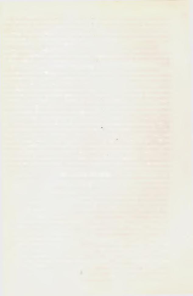 -TROVAS PIEGAS, 1985 - ANDANTE, (poesia), 1986 - A INTRÉPIDA ANITA CARIBALDI, 1986 - CALENDÁRIO LITERÁRIO, 1987 e 1989 (2a edição) - MIGALHAS DO PENSAMENTO, 1987 -ACORDES DO CORAÇÃO (trovas), 1987 -
