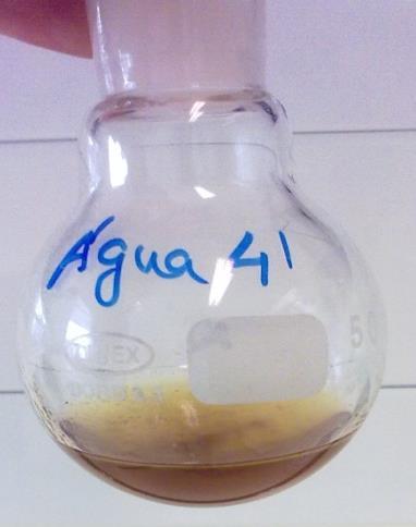 8 Solução de extração com água destilada numa relação planta:solvente 1g/10 ml, após maceração durante 1 dia.