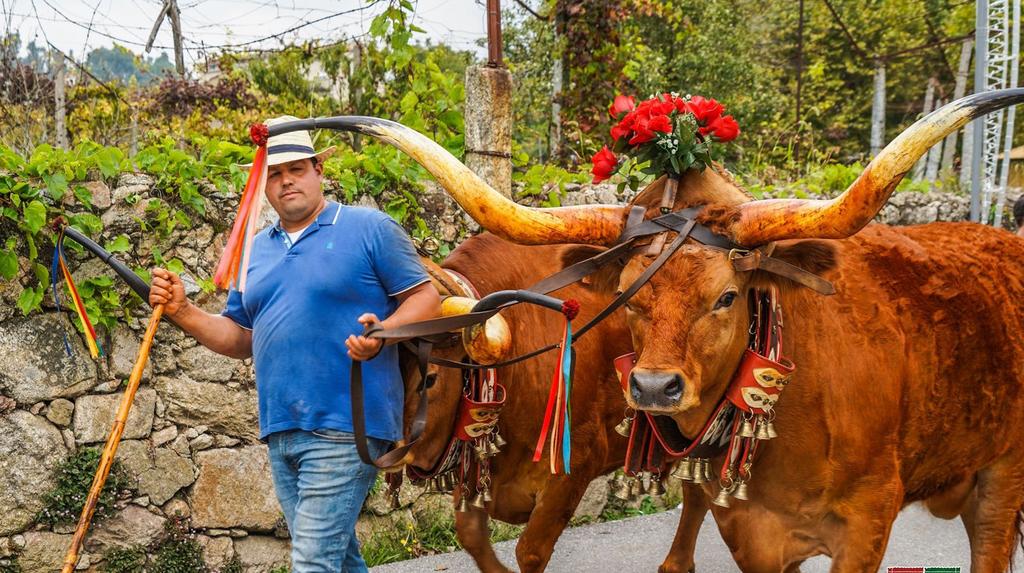 - CÂMARA MUNICIPAL DE VILA VERDE - 25 DE OUTUBRO DE 2019 -