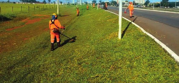 03 ROÇADA NA RODOVIA SUA VISÃO Com o aumento de chuvas e umidade que acontecem no verão, a grama nasce ao redor da rodovia acaba crescendo com mais rapidez, o que demanda uma intensificação