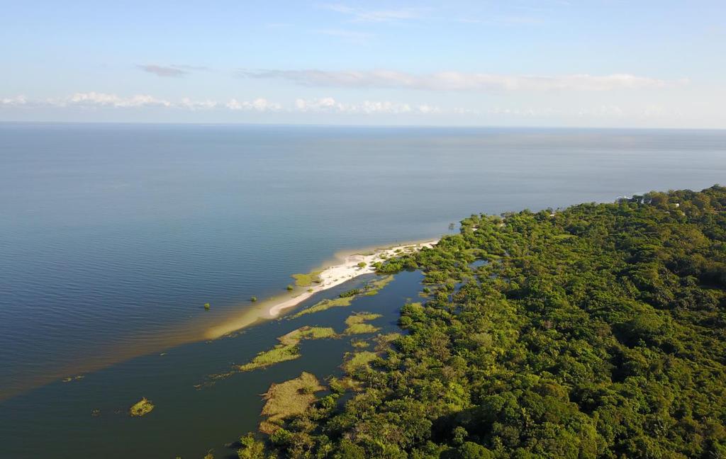 A imensidão dos rios amazônicos Neste roteiro, propomos uma viagem pelos rios da Amazônia paraense com a experiência de navegar calmamente pelas águas do Tapajós e Arapiuns, no Pará, sentindo o