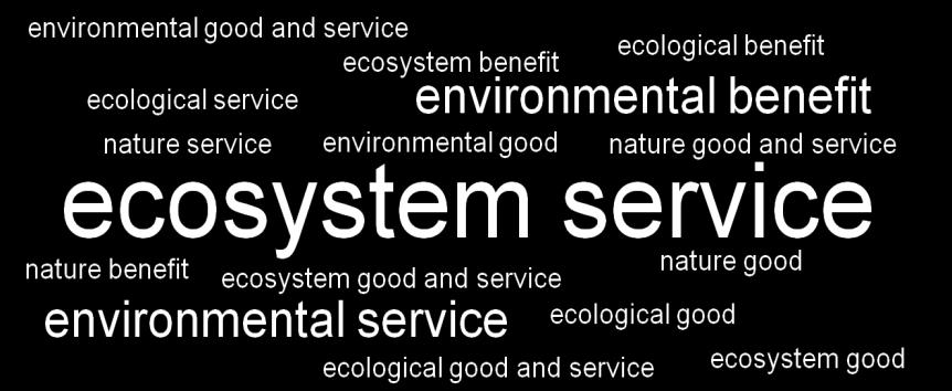 Figures Figure 1.1.Terms used and predominance in reference to ecosystem services Figure 1.