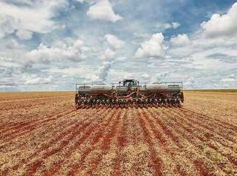 6 / FARMFORUM 7 Segundo maior produtor mundial; Safra 2018/19: 114,8 milhões de toneladas colhidas em uma área de 35,8 milhões de hectares (segundo a Embrapa); Cultura que mais cresceu em solo
