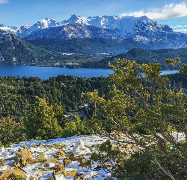 Património Natural da Humanidade pela UNESCO em 1981, na cordilheira dos Andes, é um enorme manto de neve denominado Campo de Gelo Patogénico.