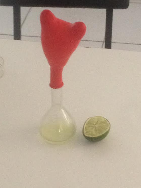 Figura 8. Experimento da decomposição do bicarbonato de sódio com suco de limão. 5.