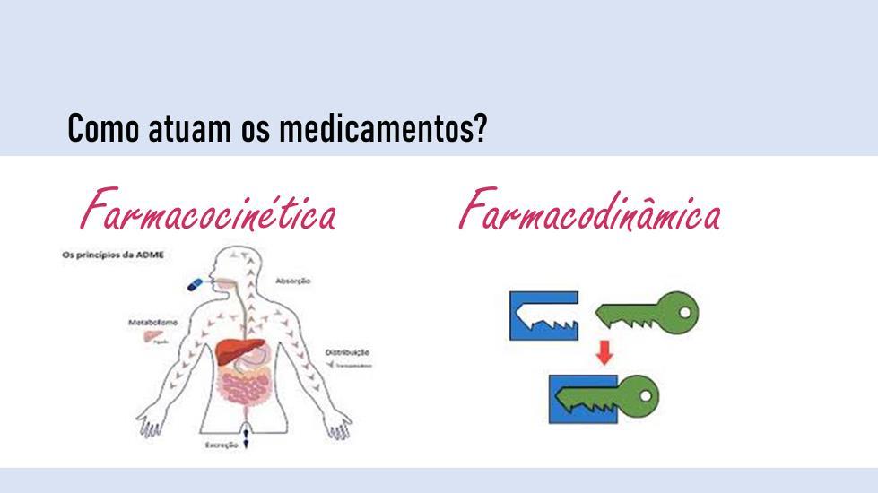 Diapositivo 8.