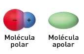 P á g i n a 255 Grupo 2: Momento dipolar. (Moléculas polares e apolares) Momento Dipolar é o nome dado a uma simplificação do fenômeno eletrostático que ocorre na polarização das nuvens numa ligação.