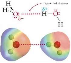 P á g i n a 48 1.1.5 Ligação Hidrogênio As interações de London se aplicam a todas as moléculas, independente de sua identidade química.