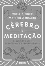 A rotina das crianças do vilarejo Bom-Belo Rio-Mar, que se divertiam no rio, é quebrada quando o tesouro arqueológico é descoberto.