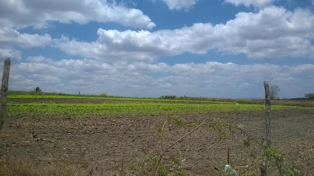 262 Por isso, a irrigação possibilita uma nítida diferenciação espacial neste território.