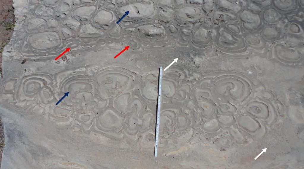 22 (setas brancas), resultantes do retrabalhamento do material in situ, em maior detalhe na figura 16.