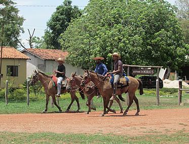 DESCOBRINDO SABORES, PRODUZINDO SABERES: UMA PROPOSTA DE PONTO DE MEMÓRIA DA RAPADURA PARA A COMUNIDADE DE CAMPO ALEGRE DE BAIXO (MT) desenvolvimento econômico e social está pautado na agricultura