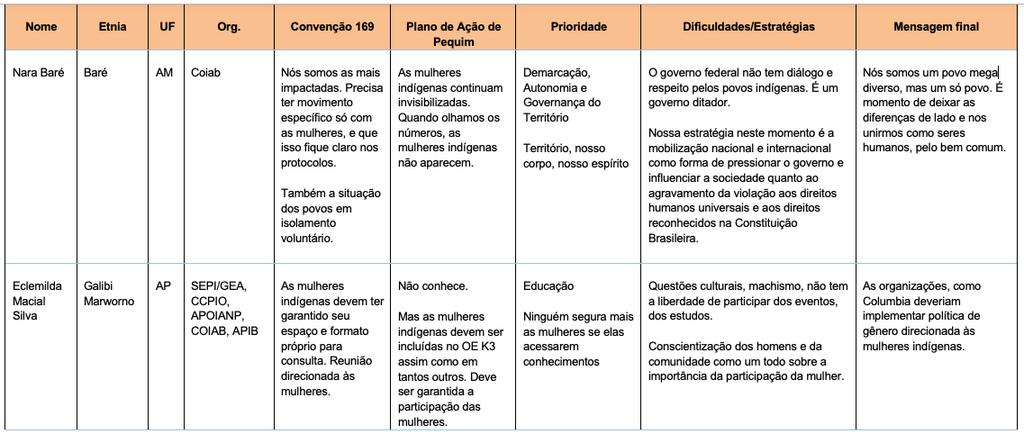 do Desenvolvimento Sustentável 5 (ODS 5) das Nações Unidas, que visa a promoção da igualdade de gênero e o empoderamento da mulher, bem como seu instrumento de implementação, a Plataforma de Ação de