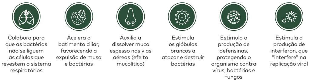 Umckalin 6,8-Dihydroxy-5,7- Dimethoxycoumarin Ácido Oleico Ácido Linoleico Ácido Gálico Catequina Proantocianidinas Flavan-3-ois Taninos Fitoquímicos EPs 7630 ATIVIDADE Antimicrobiana (White, 2016) X