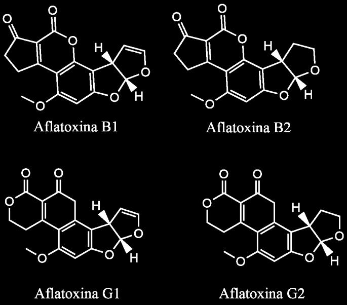 15 FIGURA 8: ESTRUTURA DAS AFLATOINAS. PIETRI et. al. (2010), estudaram a transferência de aflatoxinas e fumonisinas em matérias-primas (cevada, lúpulo, leveduras) utilizadas na produção de cerveja.