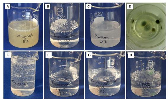 completamente; 3) adição do neutralizador hidróxido de sódio para criar um gel sólido; e 4) selar a amostra com Parafilme. Figura 7.