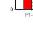 8. Sua referencia tomou por base