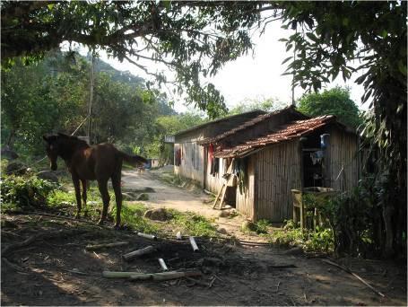 (I) Guapiruvu Prainha (ou Taquarinha) Prainha tem uma particularidade; é contígua ao bairro do Guapiruvu que pertence a Sete Barras - seus moradores utilizam todos os equipamentos públicos daquele