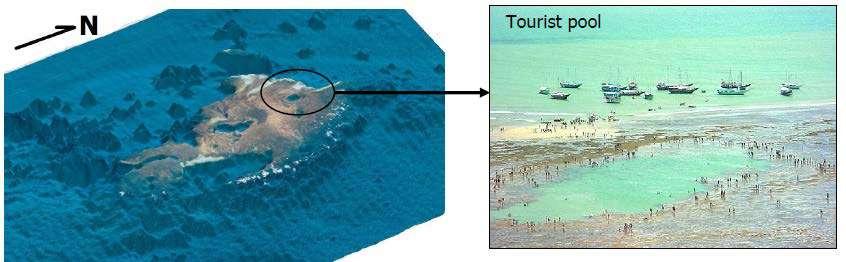 3.2. Descrição e Geologia Regional Na região sul e central do recife encontra-se uma grande piscina natural, conhecida como poço Taquaruçu, além de várias outras piscinas de menor porte distribuídas