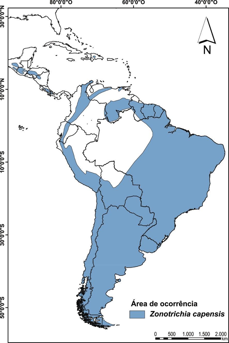 (Figura 2). Pode ser encontrada habitando desde terras em nível do mar até montanhas a 5.000 metros de altitude. (Sick 1997, BirdLife International 2019, Rising, J. & Jaramillo 2019).