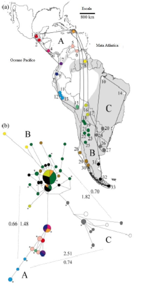 Blackwell 1996), e também em populações estudadas em um transecto altitudinal no Peru, evidenciando uma forte relação com as mudanças nas variáveis climáticas ao longo do transecto altitudinal,