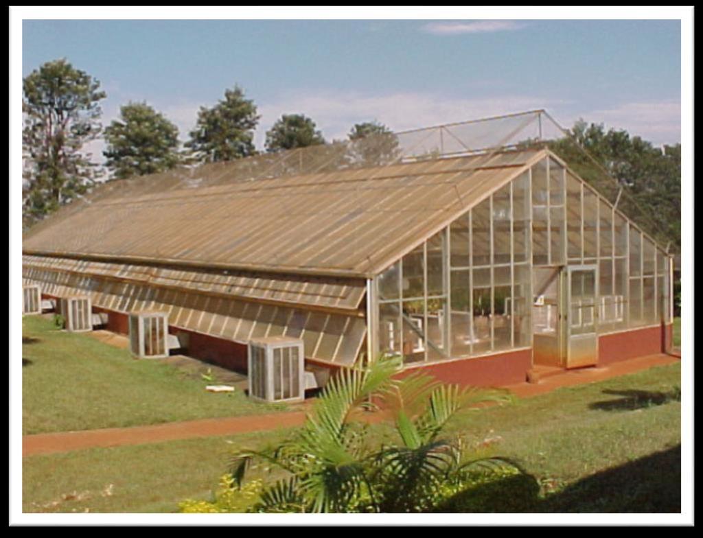 Casa de Vegetação Estrutura com paredes, teto e piso, projetada e