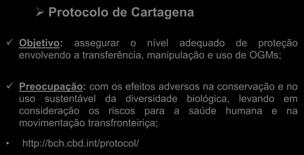 Biossegurança x OGMs Protocolo de Cartagena Objetivo: assegurar o nível adequado de proteção envolvendo a transferência, manipulação e uso de OGMs; Preocupação: com os efeitos