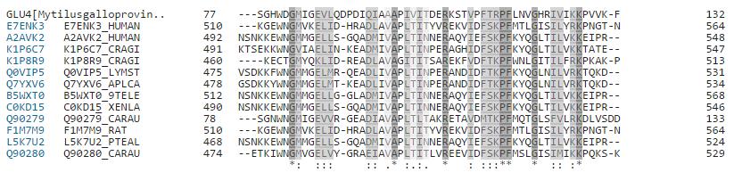 63 Annex 3 Sequence alignment produced by Clustal Omega of iglur from Homo sapiens, Rattus norvegicus, Xenopus laevis,