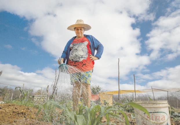 Da Comunidade AGROFLORESTA: MAIS QUE UM SISTEMA PRODUTIVO, UM CAMINHO PARA O BEM VIVER DA SOCIEDADE Por Raimundo Bertino, equipe técnica do Centro Sabiá Foto: Ana Mendes / Acervo do Centro Sabiá