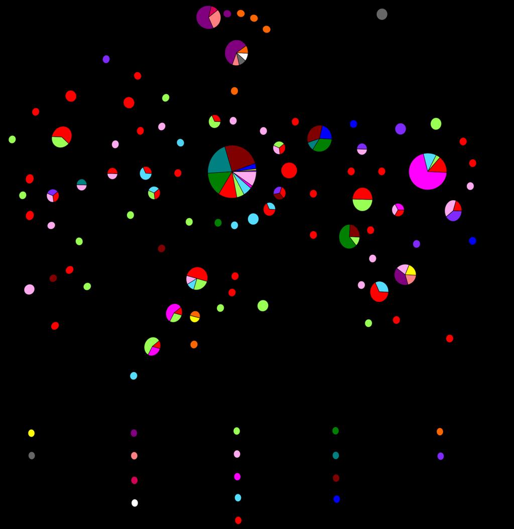 Figura 3. Rede de haplótipos de todas as localidades analisadas. Cada círculo corresponde a um haplótipo, e seu tamanho é proporcional à sua frequência na população.