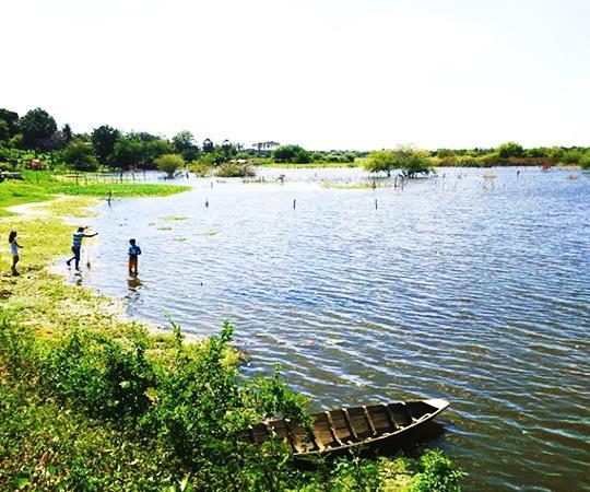 40 tipo de uso deste ecossistema aquático no passado foi a pesca (31,50%), seguido pela agricultura (24,25%), ficando em terceiro lugar o abastecimento de água humano (23,25,5%), seguido pelos demais